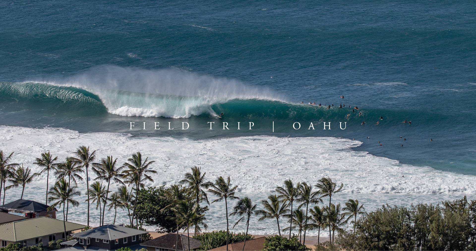 FALL 21 COLLECTION (HAWAII)