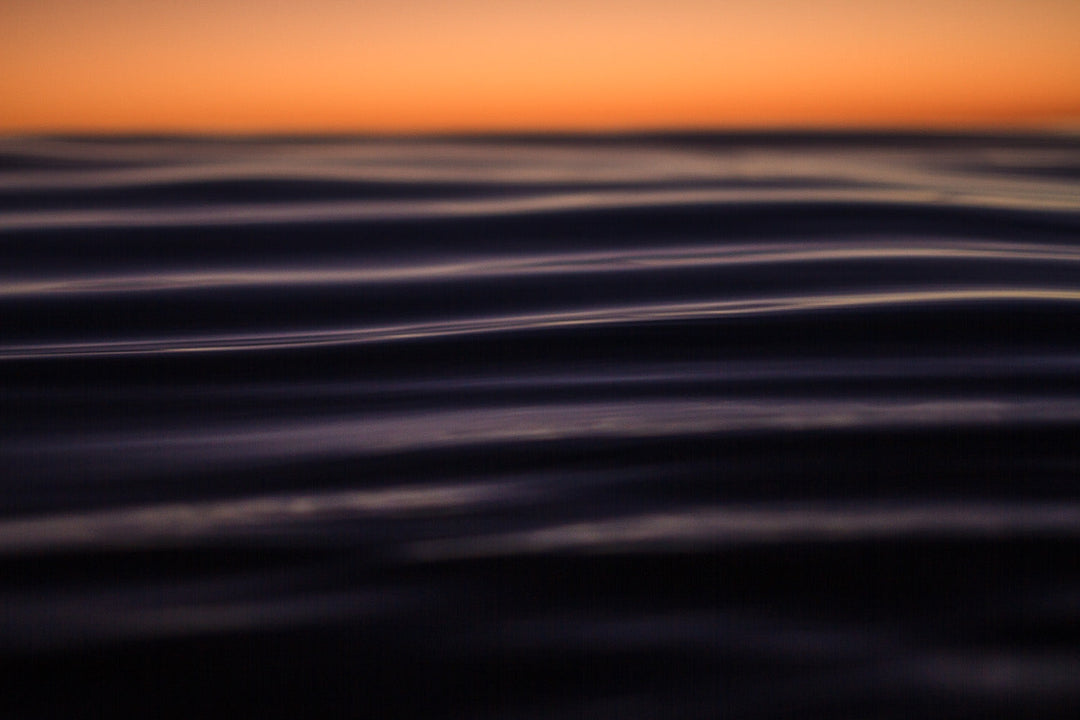 Vissla Inkleination - surf culture tattoo art and personal expression in the surfing community