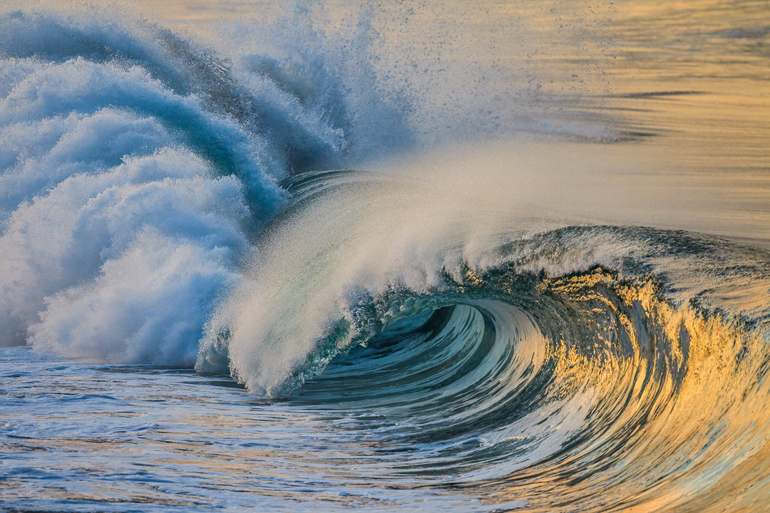 Vissla Waves Curls - surf film flowing wave riding curling face ocean elegance and surf joy