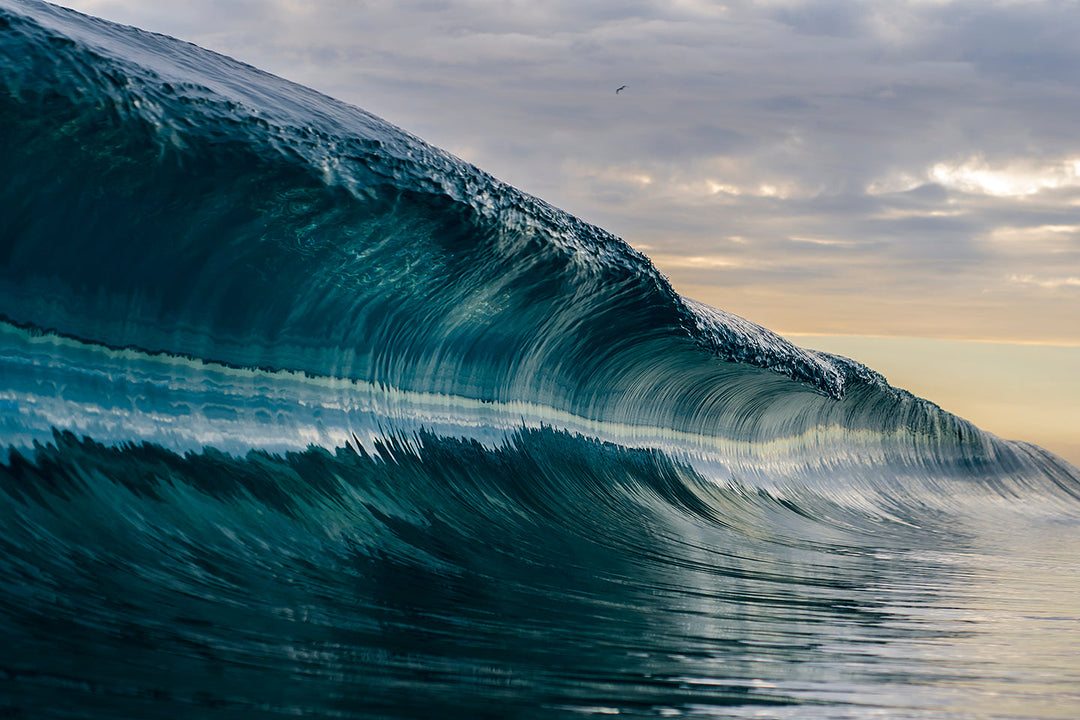 Vissla Waves Sam Farkas - creative expressive surfer power artistry wave riding and ocean connection