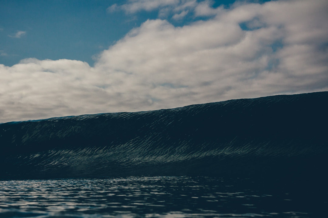 Vissla Waves Walls - surf film open face wall carving powerful lines speed and style
