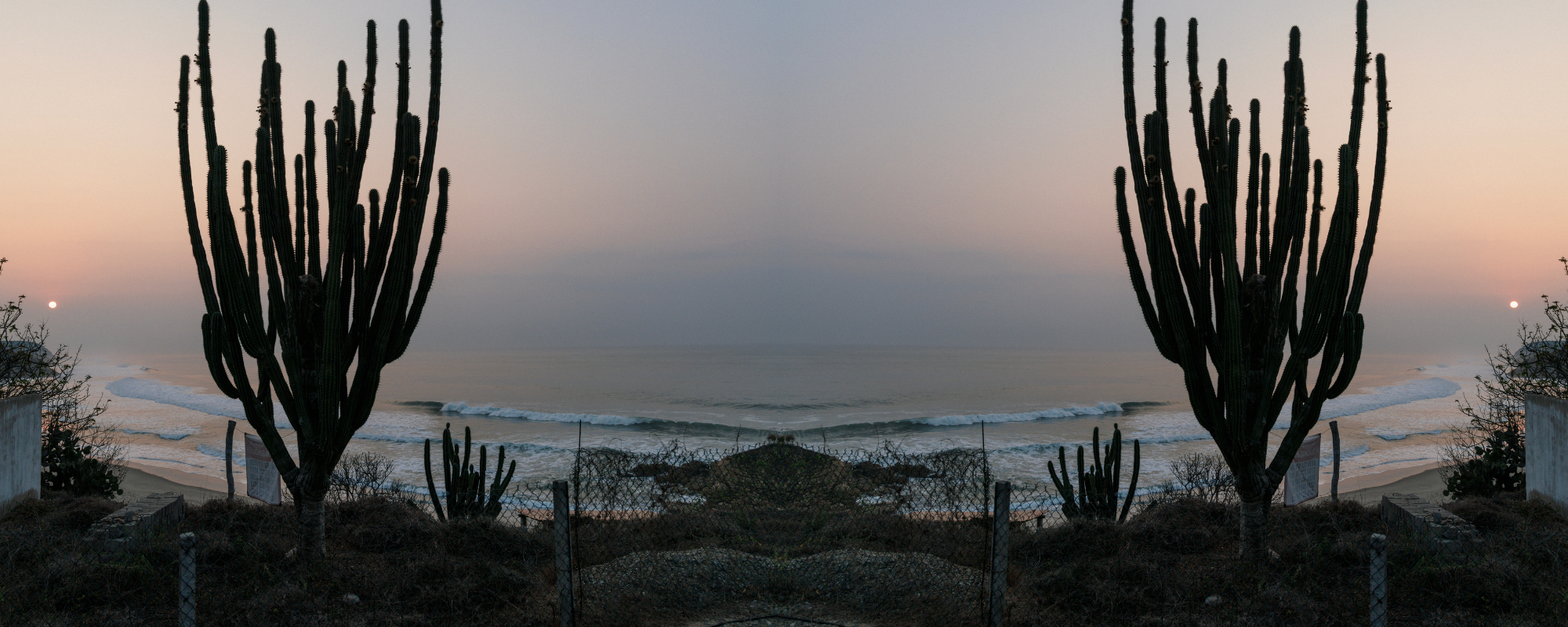 Coastal Cowboy