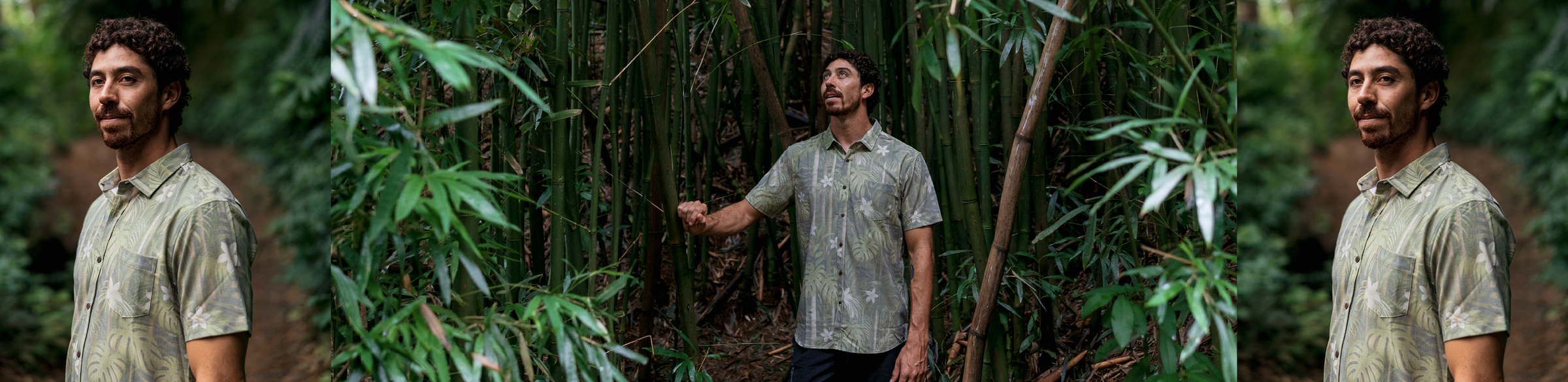 Short Sleeve Shirts | Vissla collection