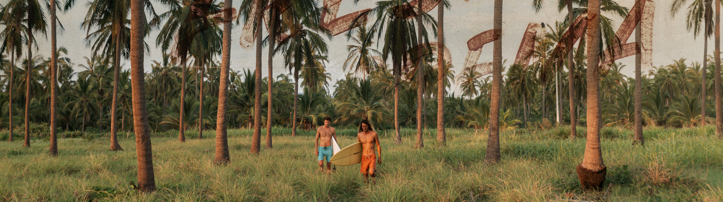 Summer Collection | Vissla collection