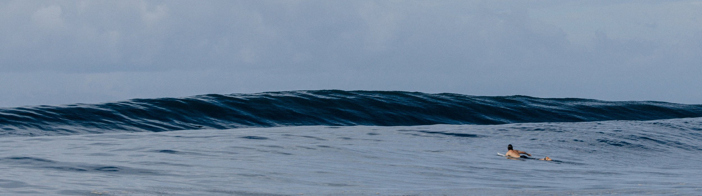 Curated Goods | Vissla collection