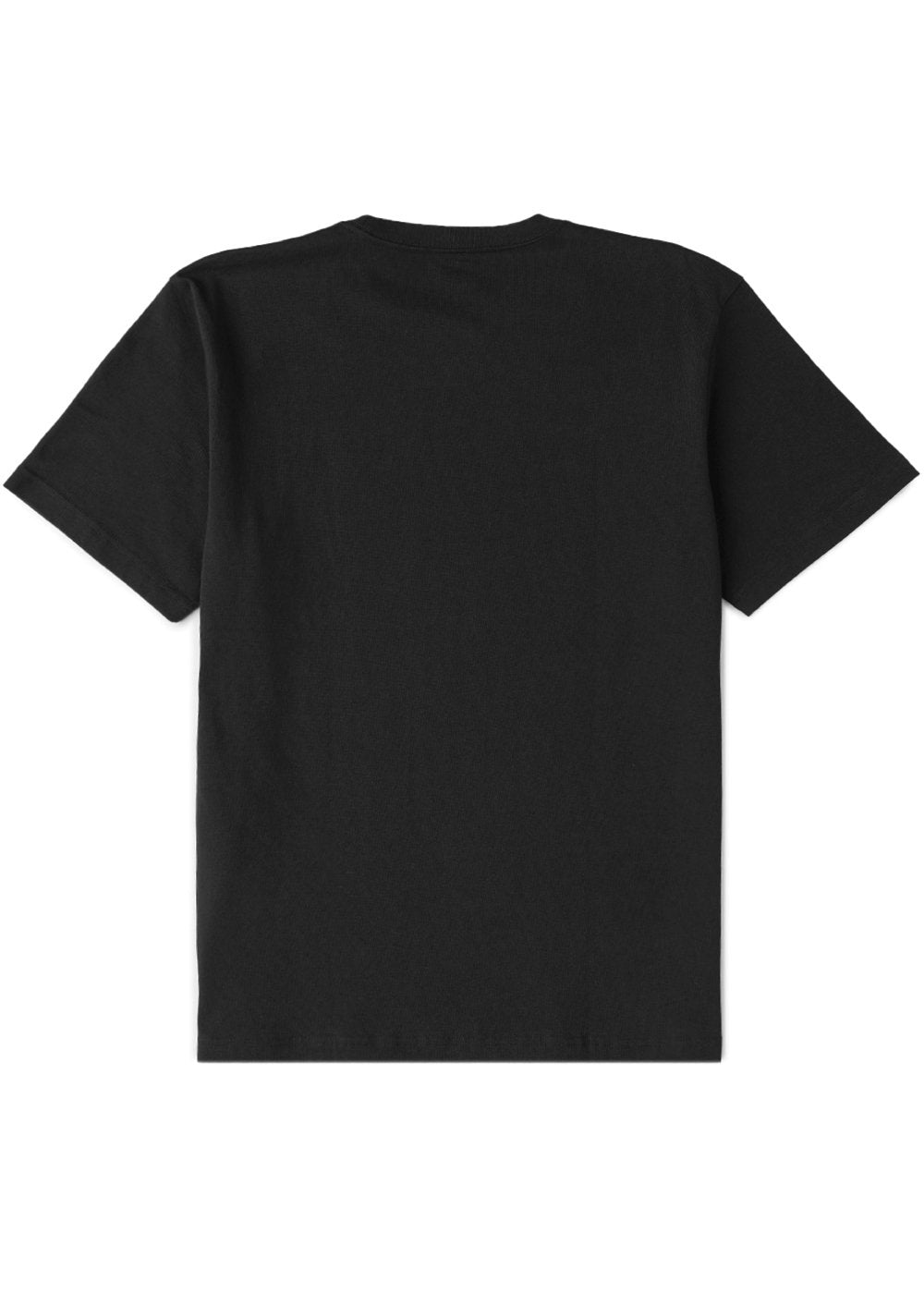 Vissla Centered Oversized Heavy Organic Tee in Black, view 2