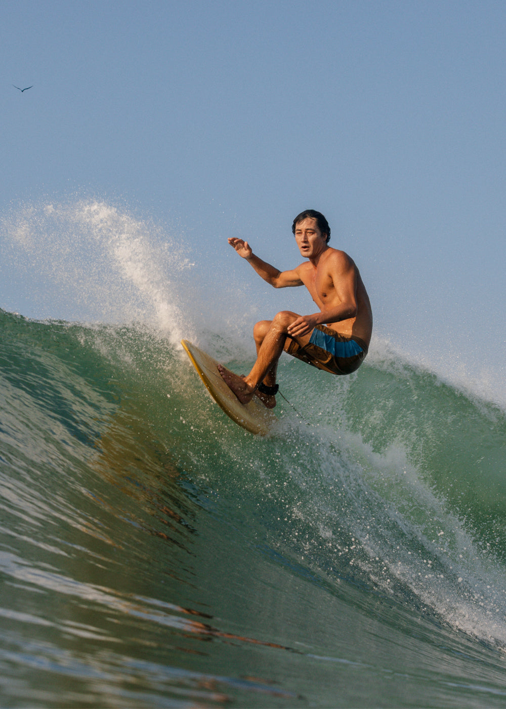 Vissla Twinzer 17.5" Boardshort in Bronze, view 2