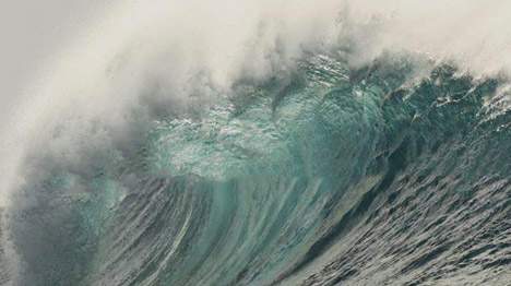 Surfrider Foundation Coastal Defender